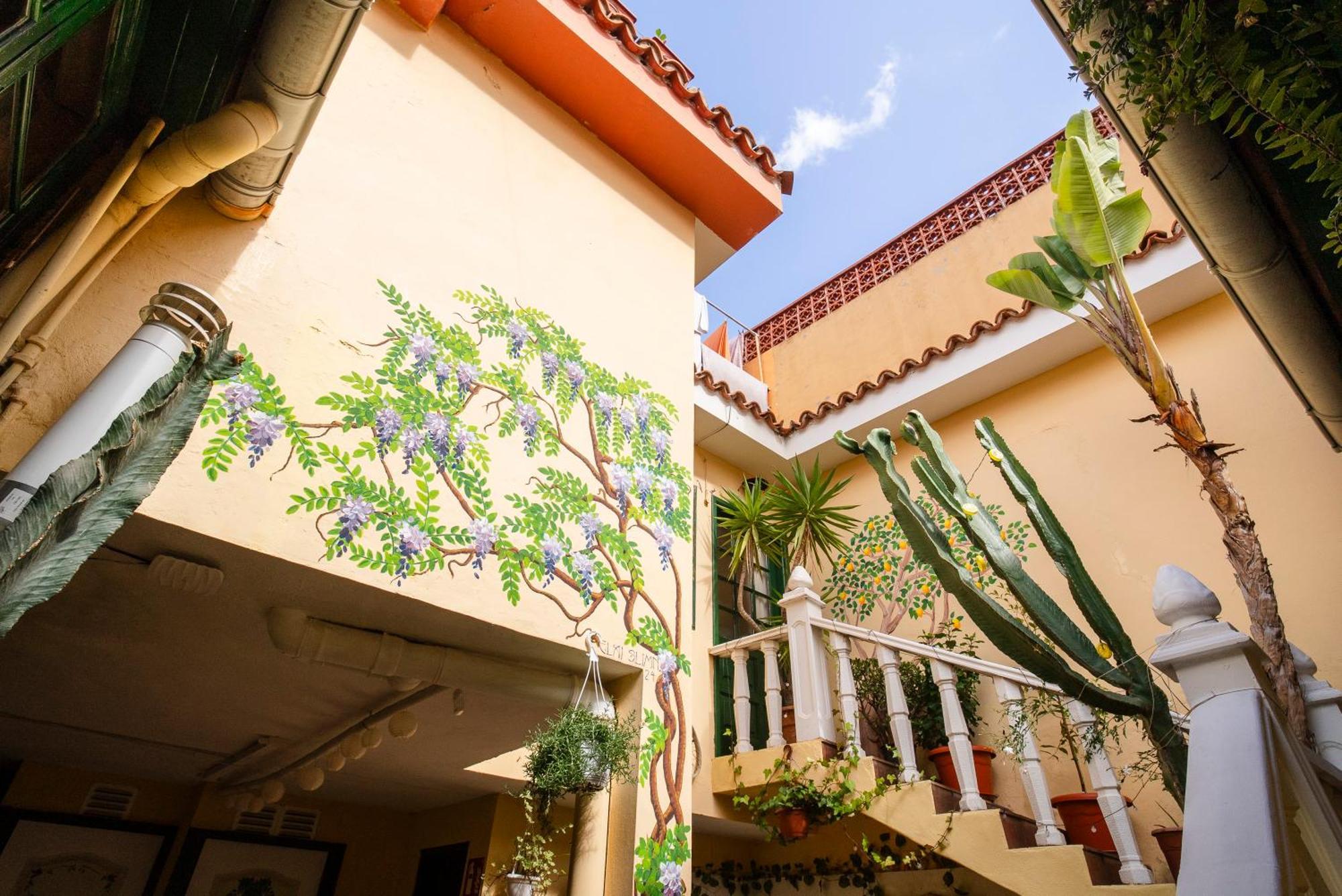 Hostel Tenerife La Orotava Eksteriør billede