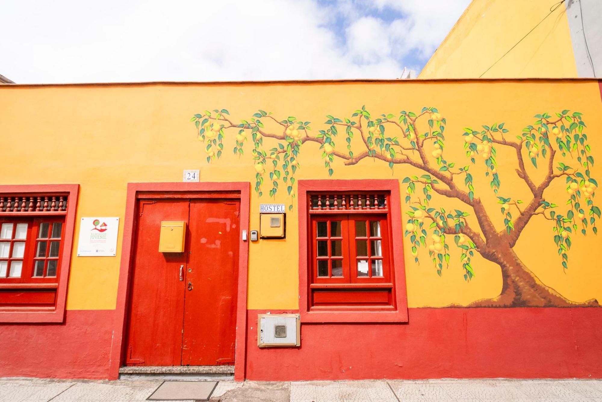 Hostel Tenerife La Orotava Eksteriør billede
